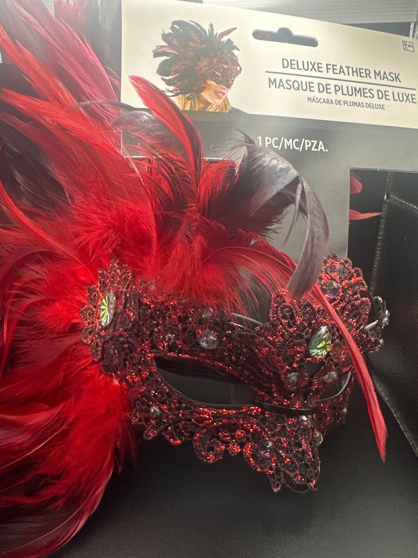 Deluxe feather mask